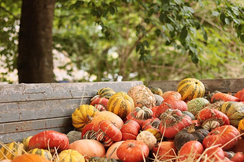 Seasonal Produce Picks