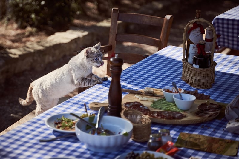 French Cuisine